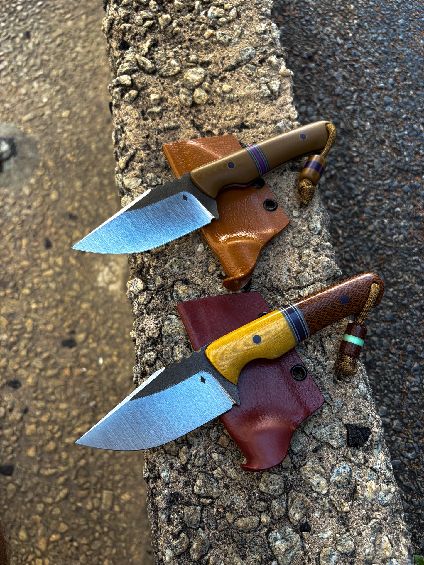 15V Cryptids