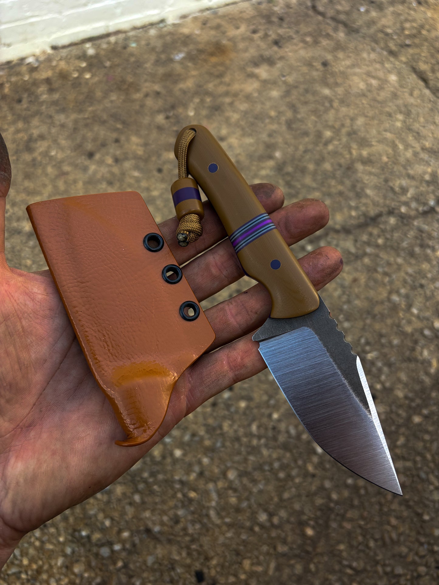 15V Cryptids