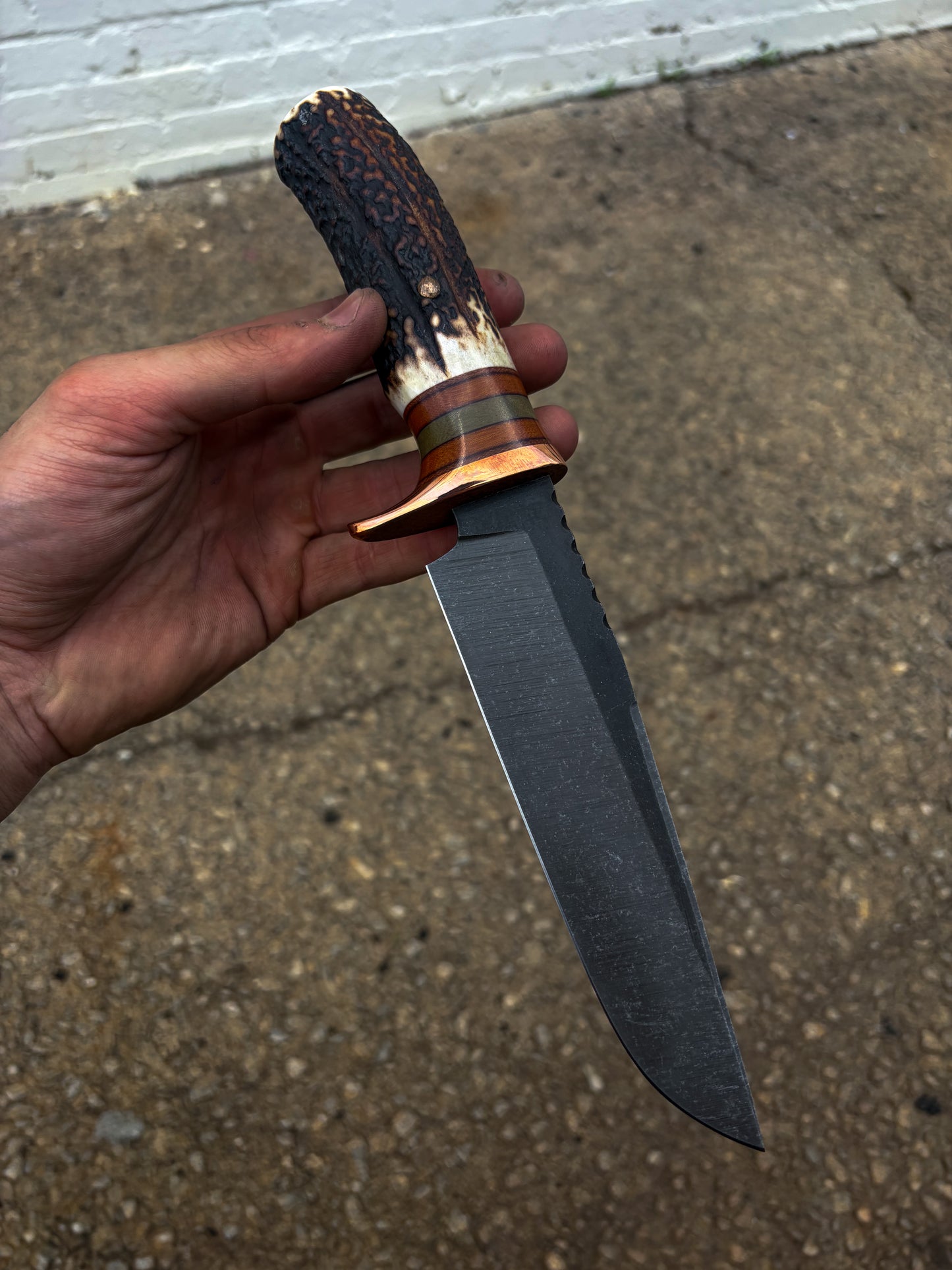 Zapp Z-12 Ultra Stag Bowie
