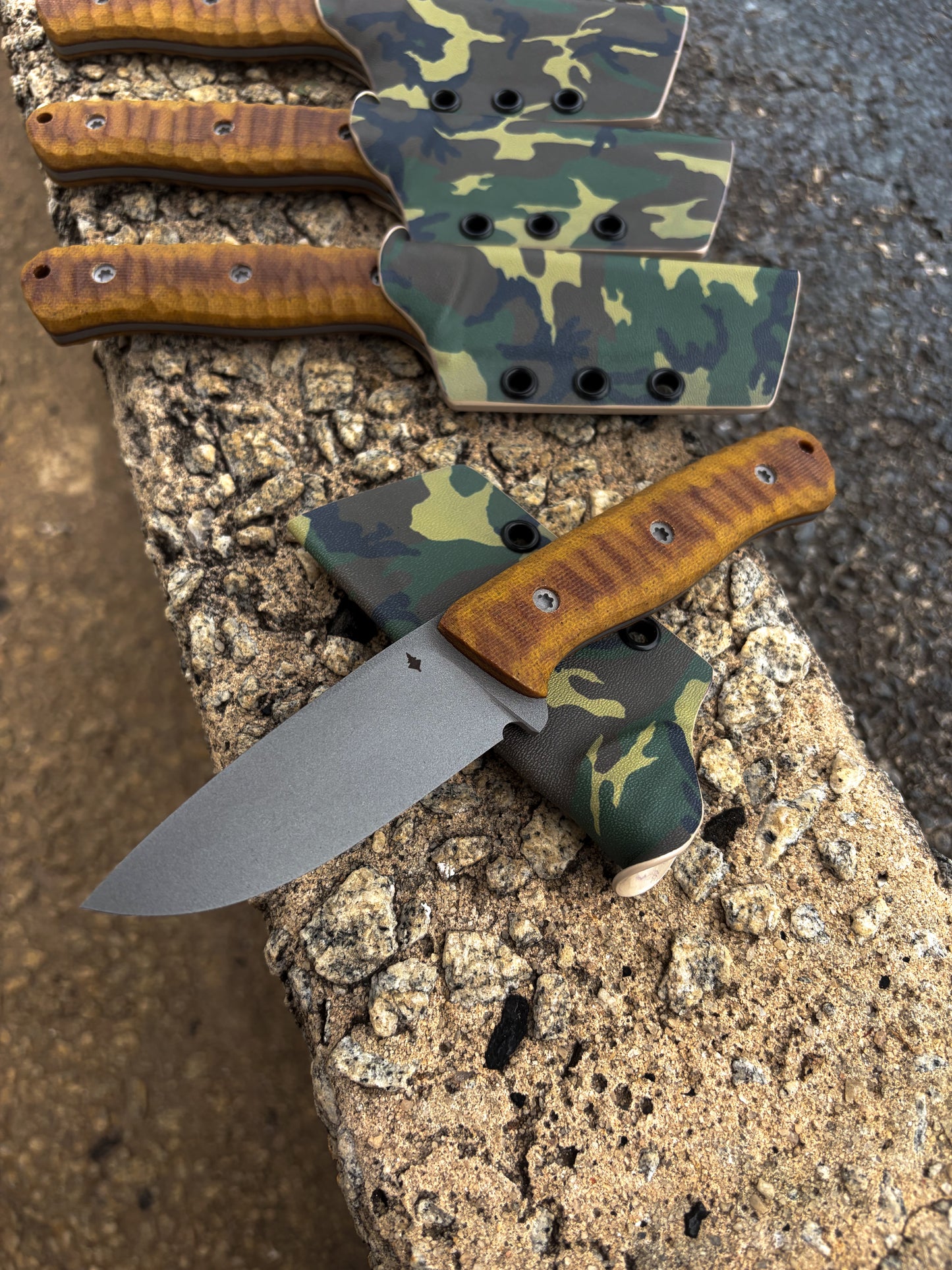 440C Little Bears